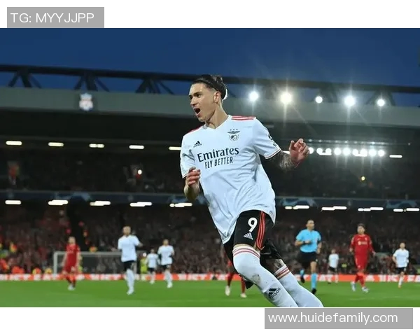 努涅斯在足球赛场上的崛起与挑战探讨