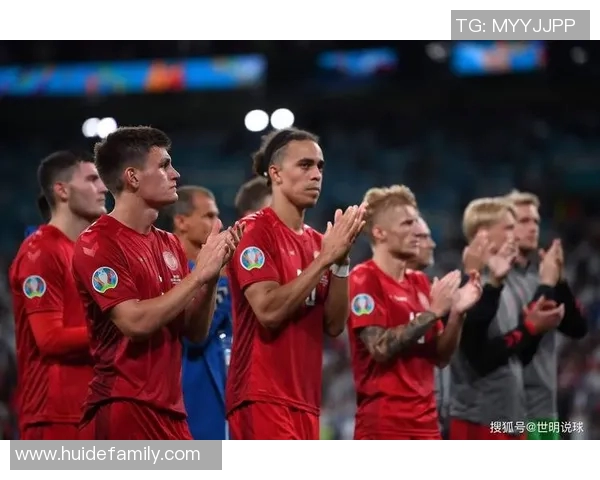 法国与丹麦精彩对决解说录像回顾及赛后分析分享
