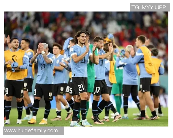 爱尔兰与乌拉圭精彩对决视频回顾及赛后分析分享