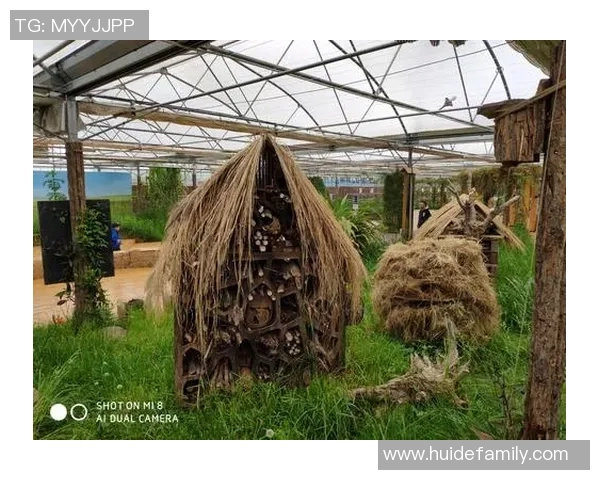 贾诚:在时代洪流中坚定前行的青年力量与梦想追寻 贾诚:在时代洪流中坚定前行的青年力量与梦想追寻